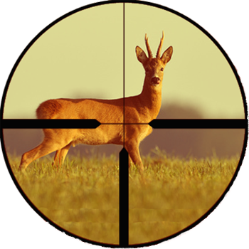 Puskarnica Rakizevac